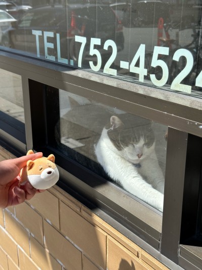 Posing with a cat :)