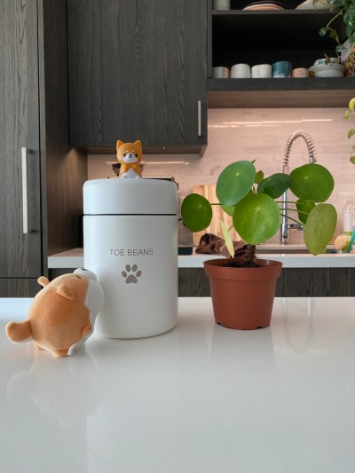 Admiring the new coffee bean canister