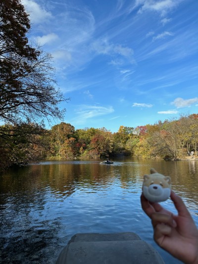 Overlooking Central Park Lake