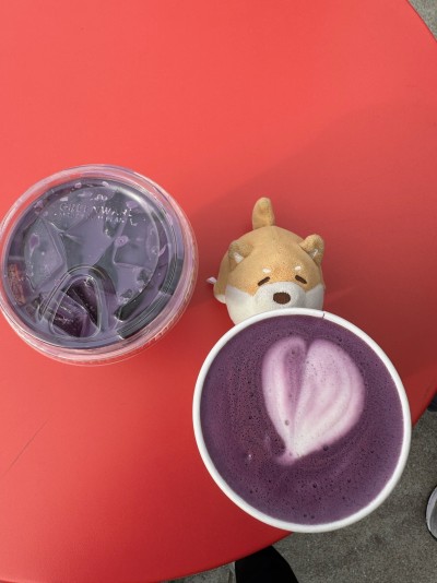 Ube lattes in Alameda