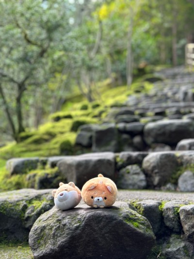 Portland Japanese Garden