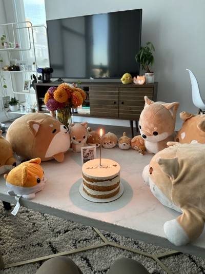 All the soft friends celebrating Tofu's 2nd birthday
