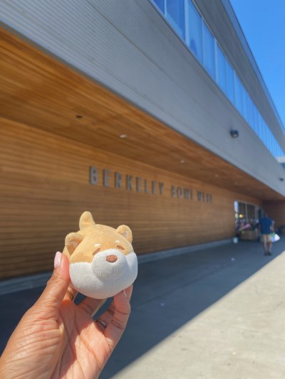 Picking up some groceries at Berkeley Bowl