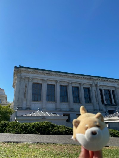 hanging out on Memorial Glade at UC Berkeley, ft. the ledge where Kimi & Rahul had their first date