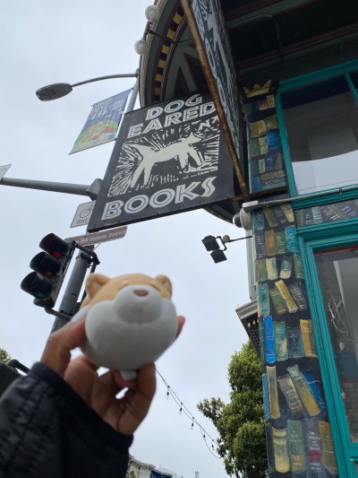 Looking for books at Dog Eared Books in the Mission