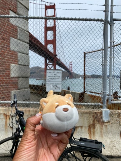 A bike ride to Hopper's Hands