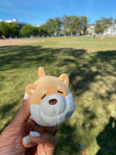 Jackson Park (just across the street from home)