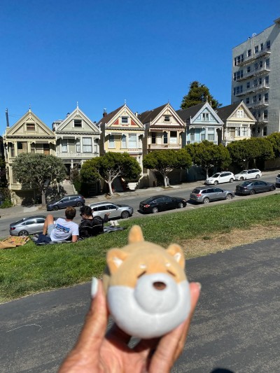 Painted Ladies at Alamo Square