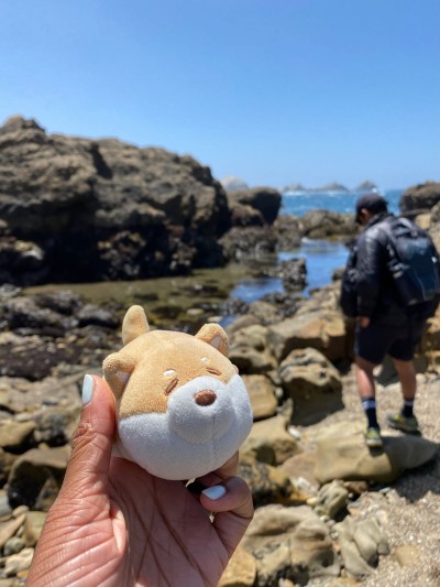 Del Monte Beach, Monterey