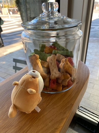 Eagerly awaiting treats at Blue Bottle Mission Bay