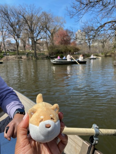 Boating at Central Park Lake, NYC