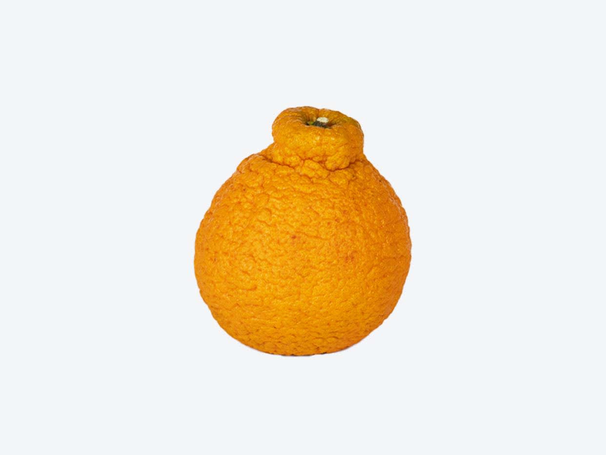 Product Name Sumo Citrus