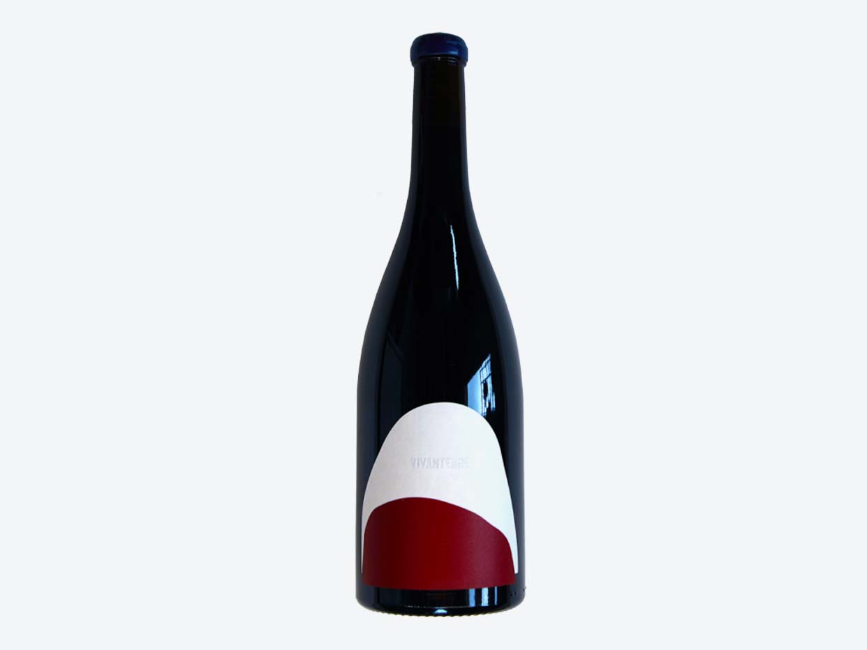 Vivanterre 2020 Gamay