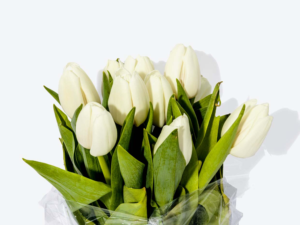 Tulip Bunch