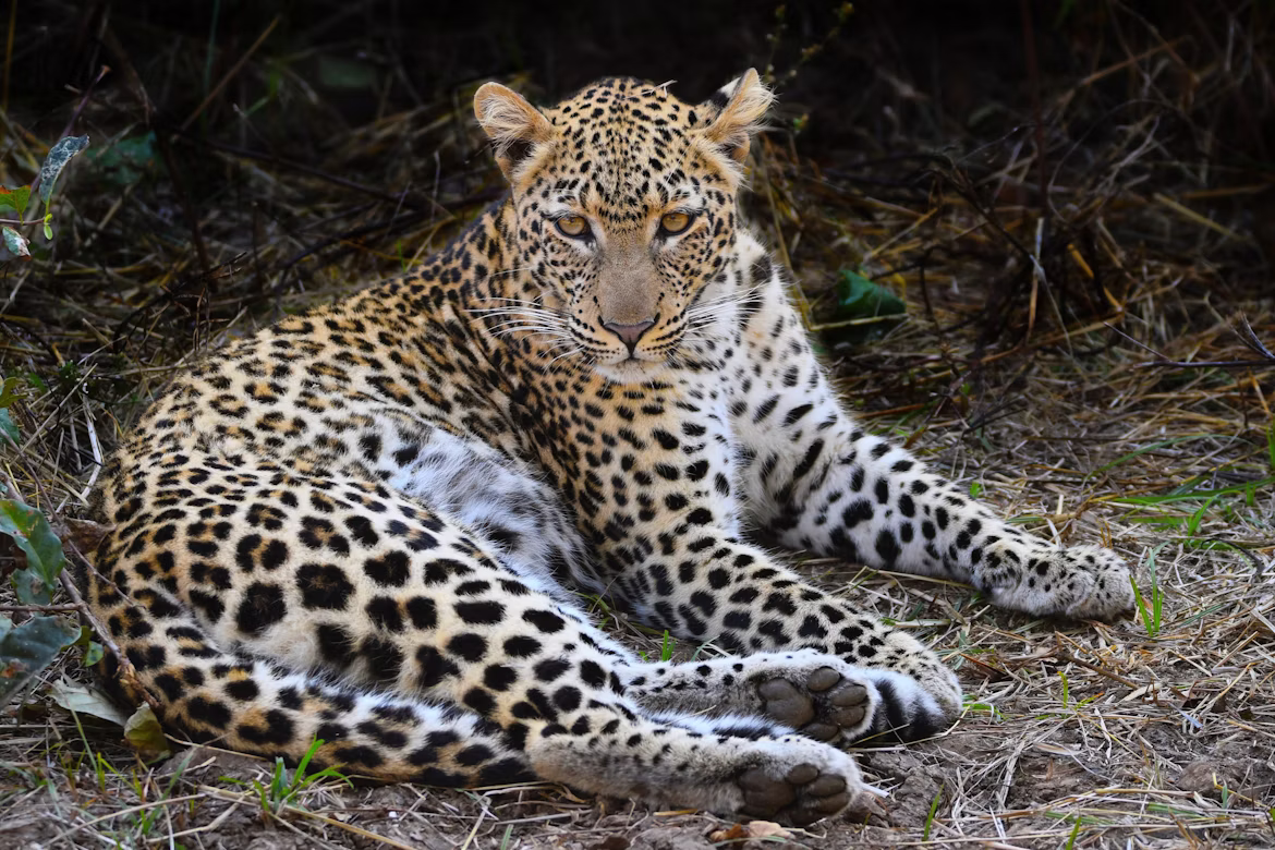 10 Days -  The Essence of Zambia