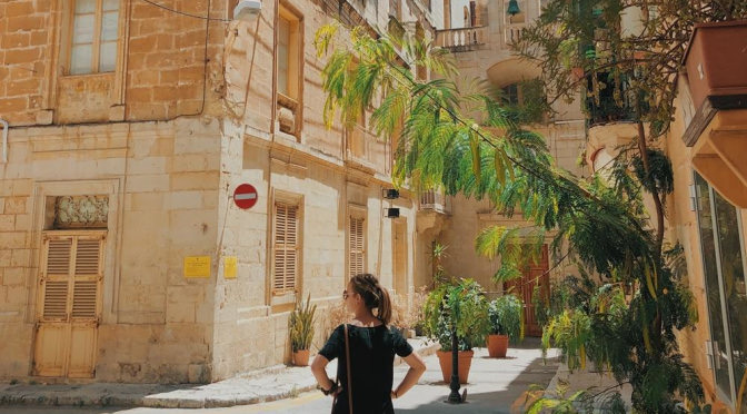 Malta’s Individual Investor Program (IIP) and the Due Diligence Process
