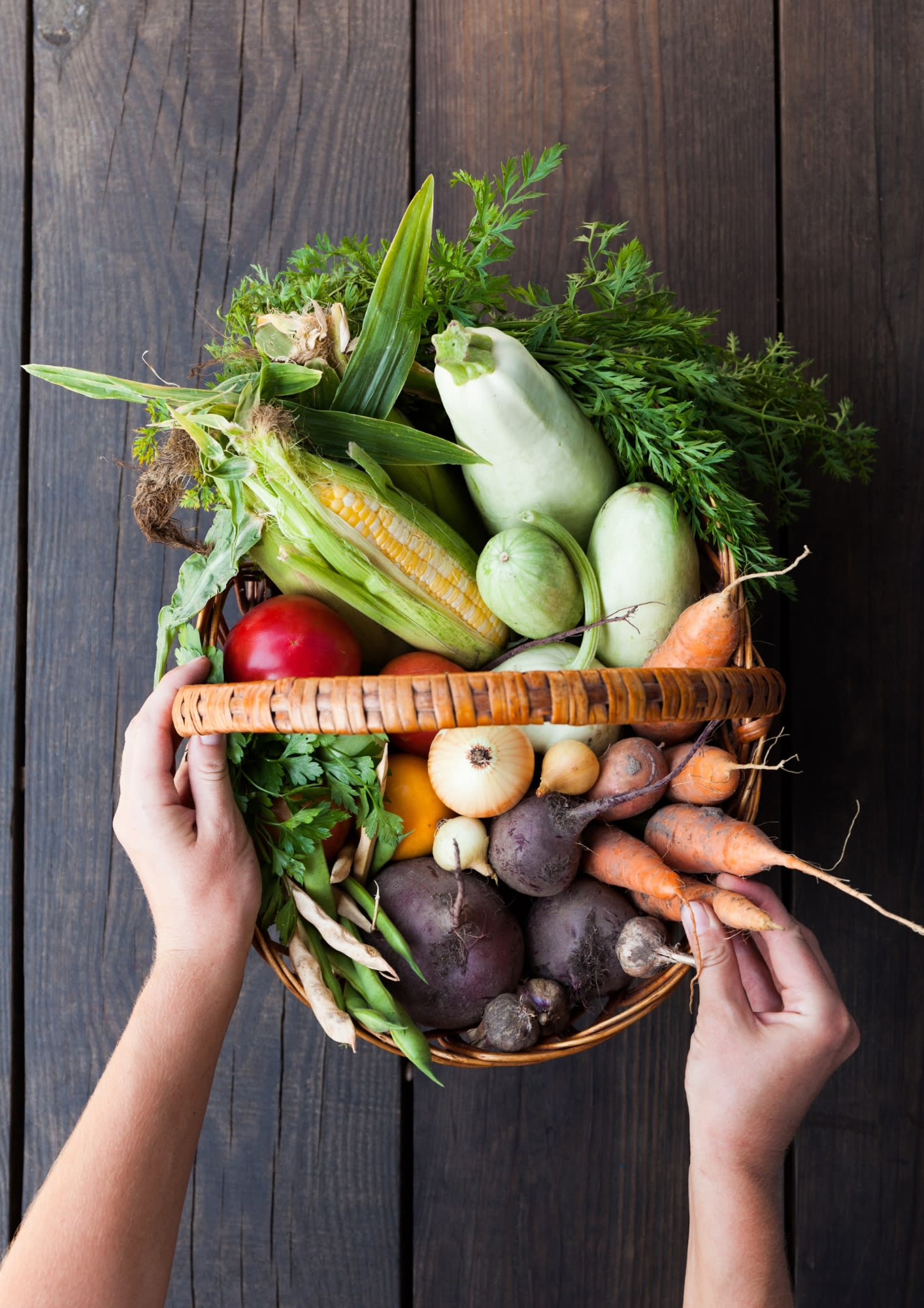 Cours de cuisine végétale : J'apprends à cuisiner les légumes