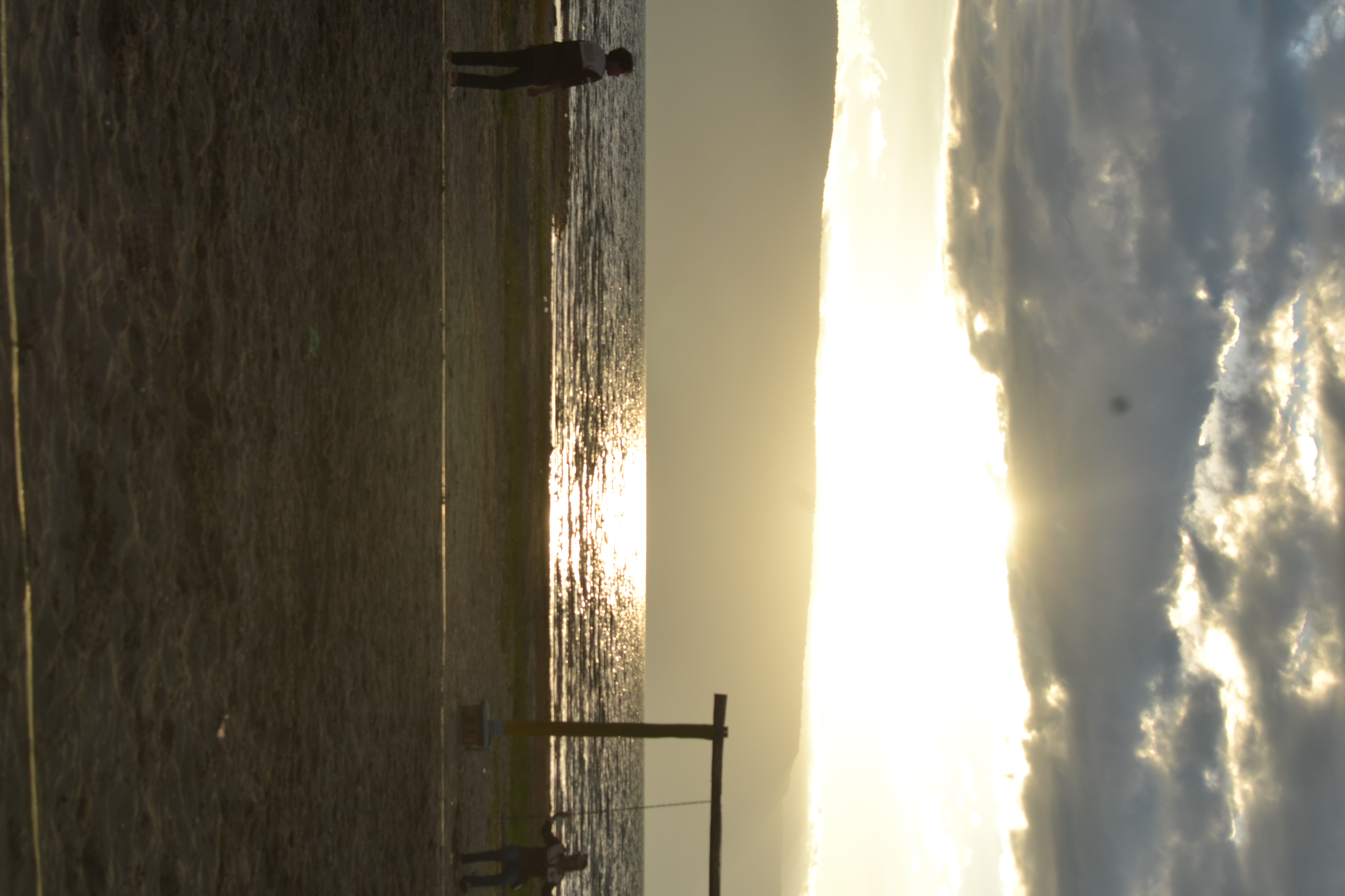 Pantai Ikan Mas Tandarabun