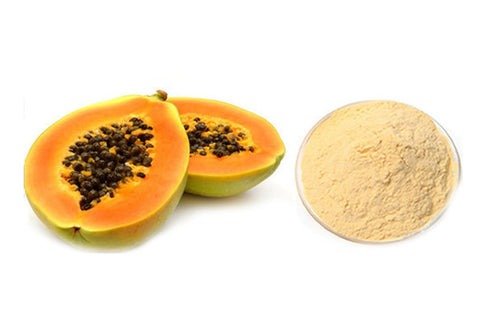 Papaya Powder 100g