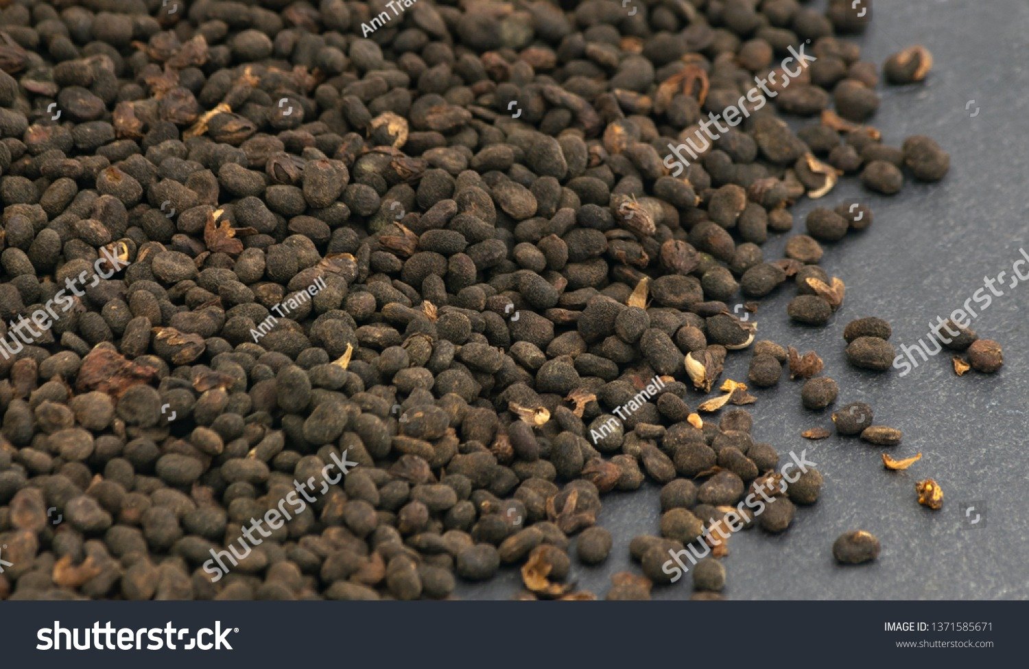 babchi seeds 100g
