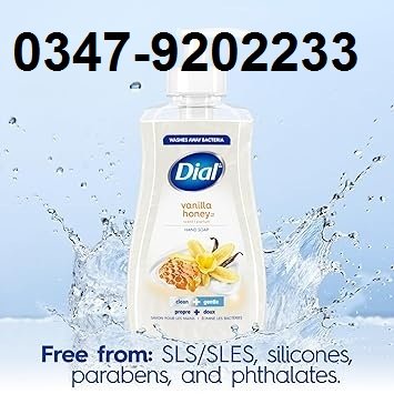 Dial Hand Soap Vanilla Honey 221ml