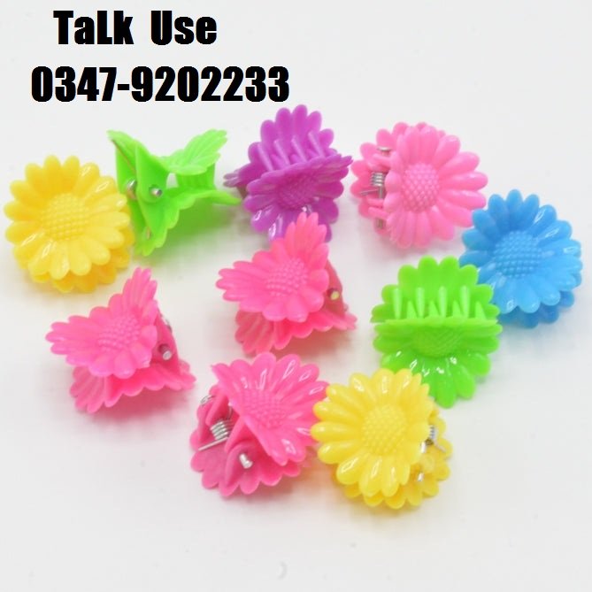 Pack of 10 Mini Hair Pins