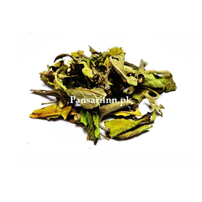 Berg e Aroosa 50g