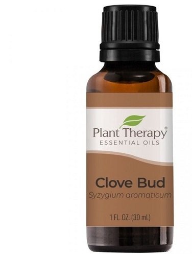 Clove Bud Organic Essential Oil