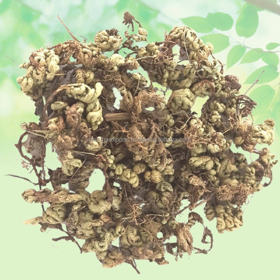 Sanjeevani Booti 100g