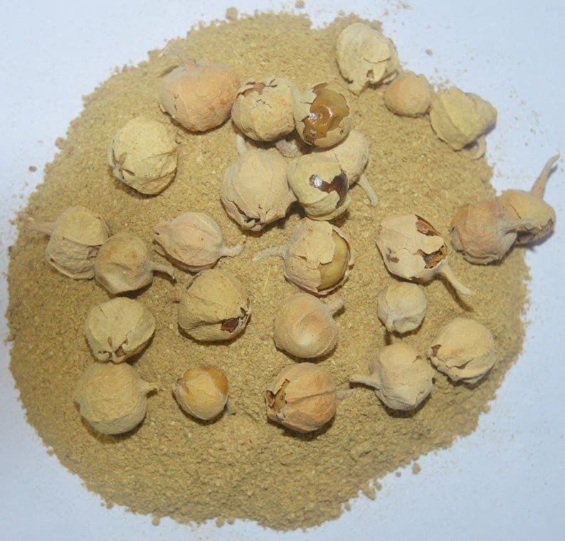 Paneer Dodi Powder 100g