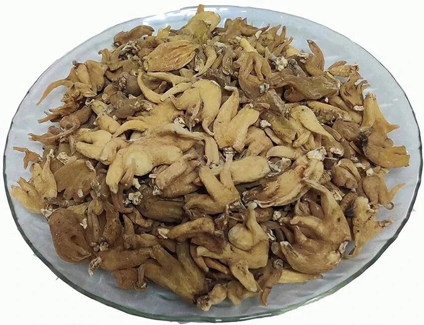 Salab Panja 10g