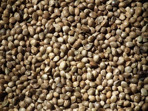 Hemp Seed 500g