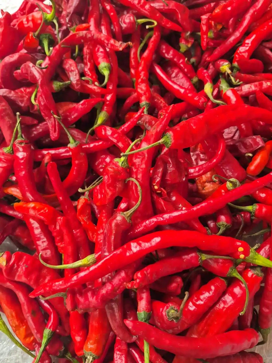 Kashmiri Pure Red Chilli Whole 50g