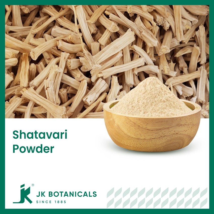 Shatavari Powder