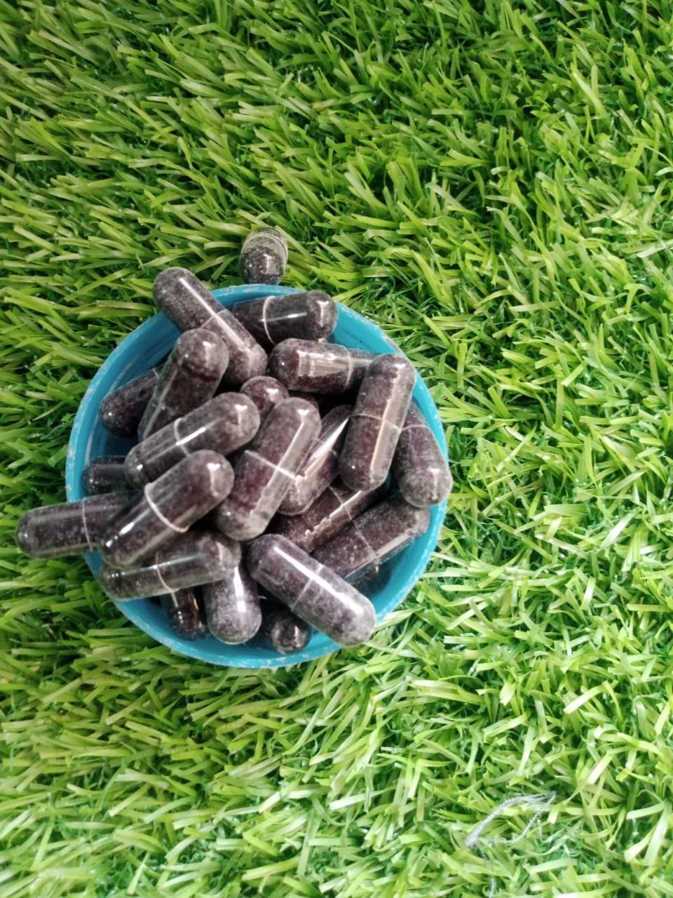 Pain Rest Capsule 10