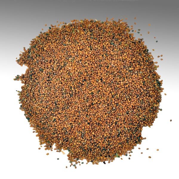 Taramira Seeds 100g