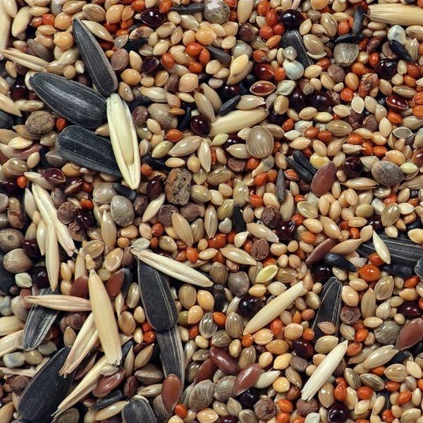 Mix Seed for Lovebirds 500g