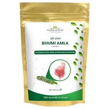 Organic Amla Powder 100 GM