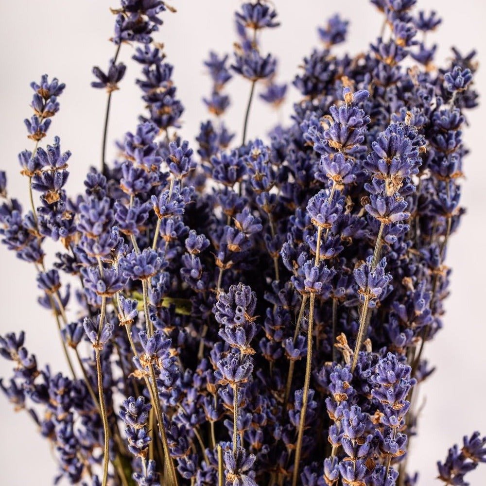 DRIED LAVENDER BUNCH 50g