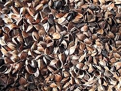 Buckwheat 250g