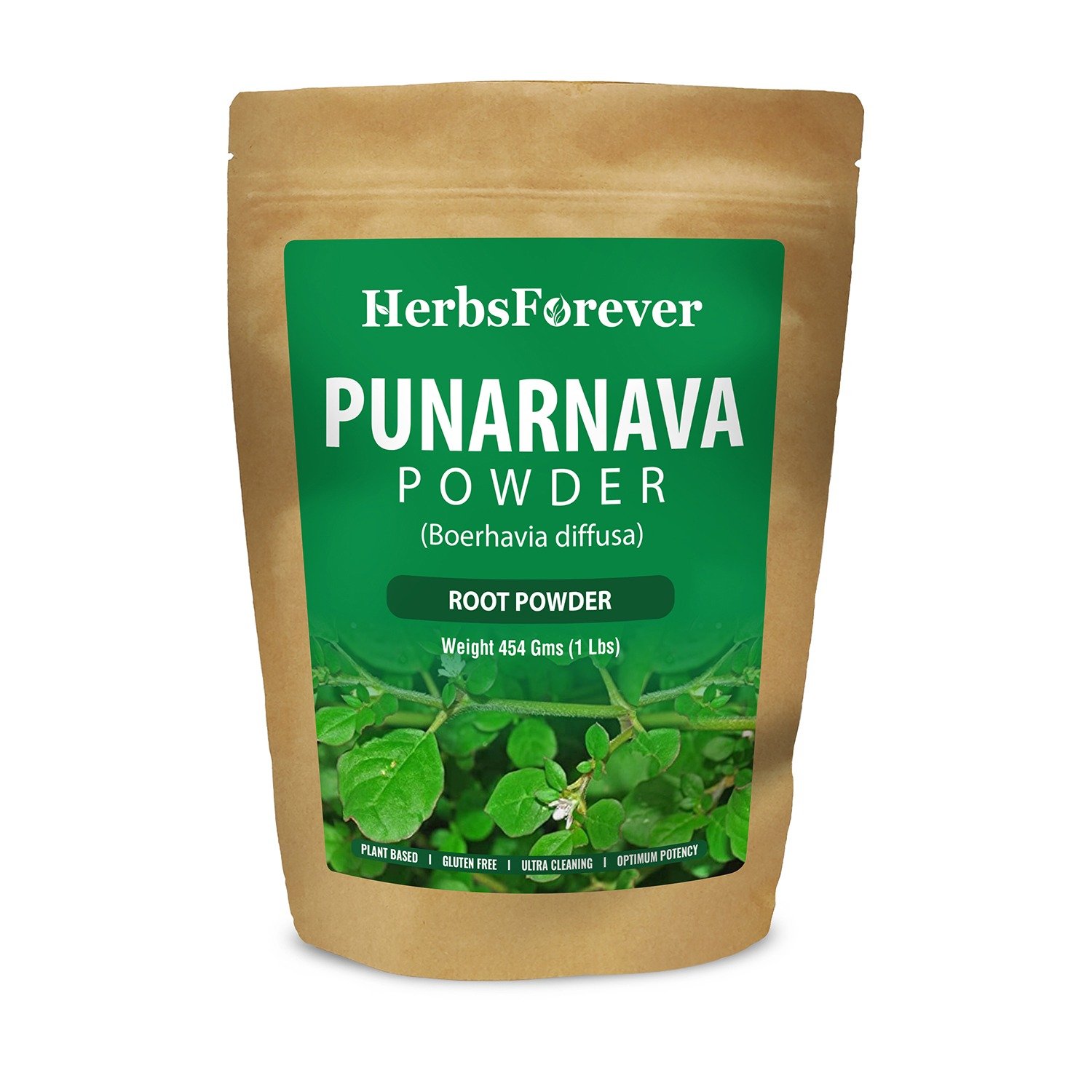 Punarnava Powder (Boerhavia Diffusa) – Non GMO – Vegan – (454 Gms – 1LBS)