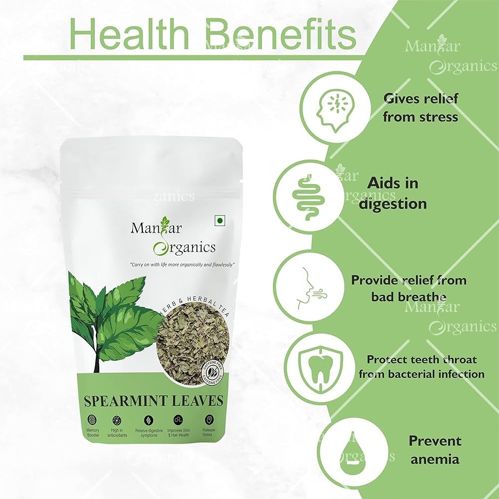 Organic Spearmint 100gm Herbal Tea Leaves