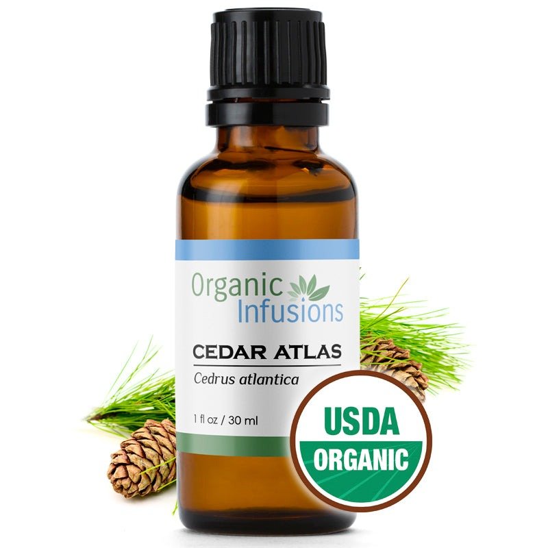 CEDAR, ATLAS