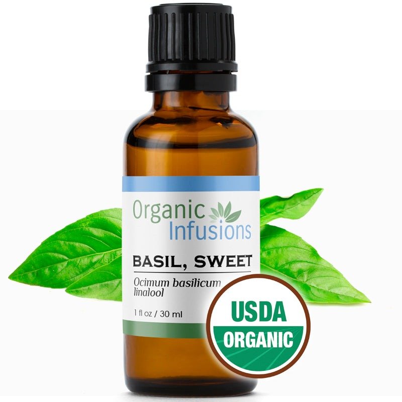 BASIL, SWEET