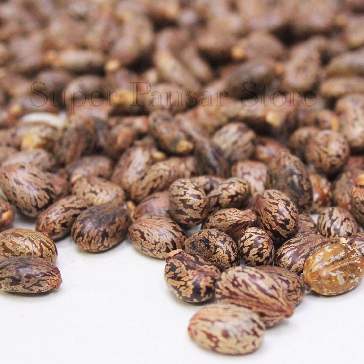 Castor Seeds (Tukhm e Rind)100g