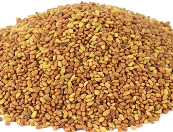 ALFALFA SEED 250g