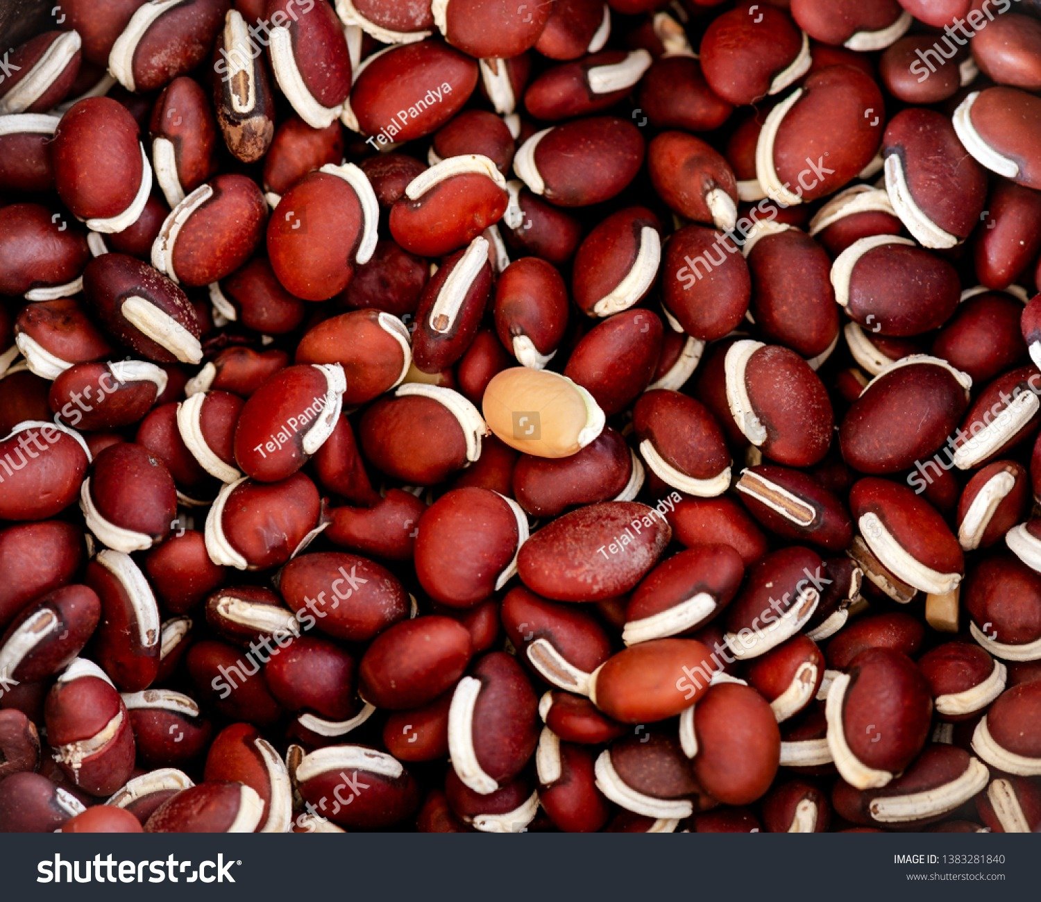Lab Lab Bean 500g