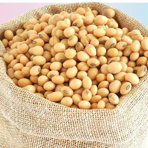 Soya bean (1000 gram) 1 Kg