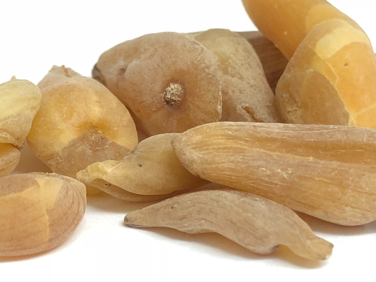 Suranjan Talkh 30g