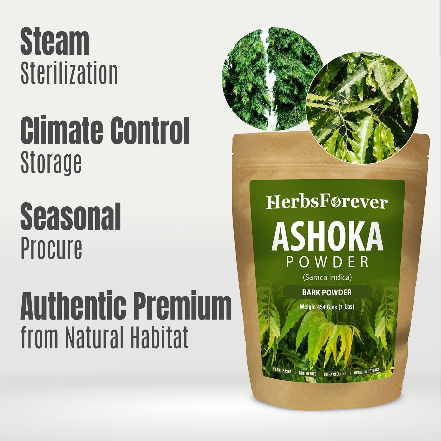 Ashoka Powder (Saraca Asoca) – Non GMO – Vegan – (454 Gms – 1LBS)